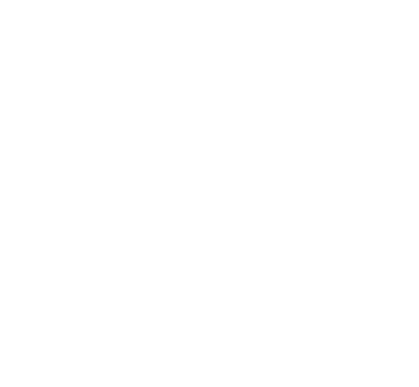 Sandi Russe Design